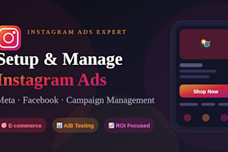 setup and manage your instagram ads and meta ads campaign