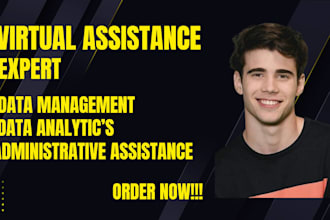 personal executive virtual assistant and social media content manager VA admin