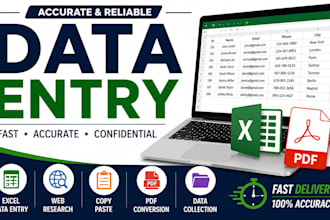 accurate data entry, web research, copy paste, excel, and PDF tasks