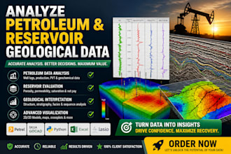 analyze petroleum and reservoir geological data