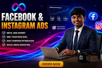 run professional facebook ads, instagram campaigns, meta ad