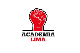 design amazing brazilian jiu jitsu academy logo