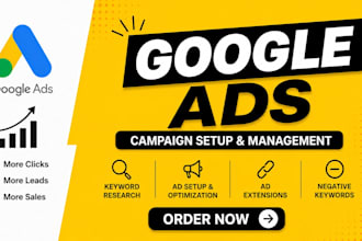 setup and manage google ads PPC campaigns