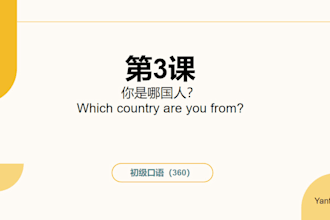 offer tailored chinese language lessons