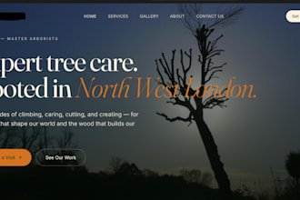 create a website for you