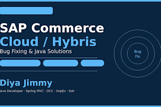 fix sap commerce cloud hybris bugs and java issues