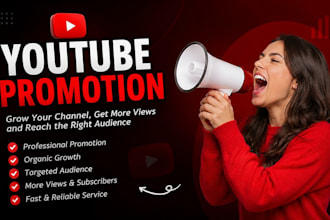 do professional youtube promotion and channel growth