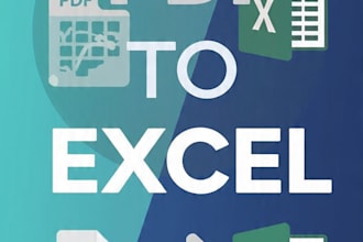 do fast, accurate data entry, excel work, and PDF to excel conversion