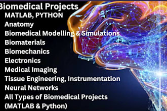 work on biomedical engineering projects, tasks, presentations