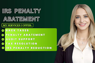 file back taxes, irs tax return, 1040, tax resolution for llcs