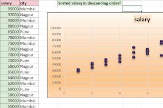 organize and analyze your data in excel