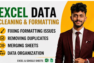 do professional excel data cleaning and formatting