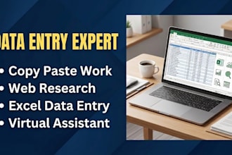 do flawless data entry, copy paste and web research