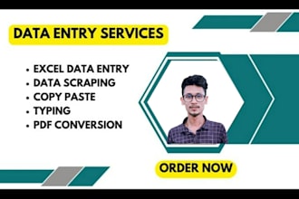 do copy paste and data entry