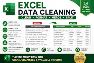 clean, format, split and organize excel data professionally