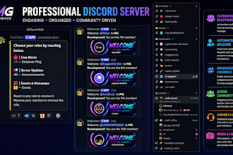 create a professional discord server setup
