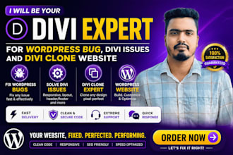 be your divi expert for wordpress bug, divi issues and divi clone website