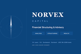 deliver a clear and professional financial structuring report