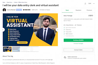 do data entry, interepretation remote work and much more