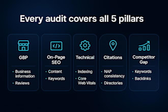 deliver a local seo and google business profile audit with action plan