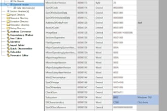 perform malware analysis and reverse engineering