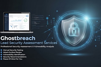 do a professional website security assessment