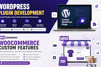 custom wordpress plugin or woocommerce feature