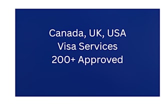 do professional visa consulting and document review for 200 approved cases