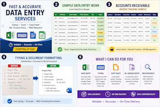 provide professional bookkeeping and accounting support