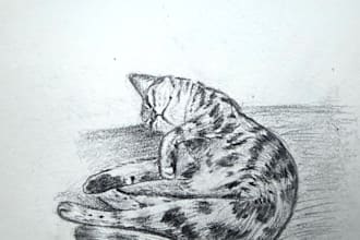 portrait pet illustration cat custom drawing pencil drawing