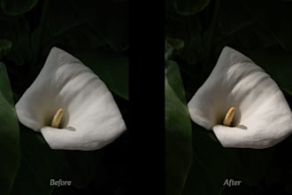 improve flower photos for instagram, etsy, and websites