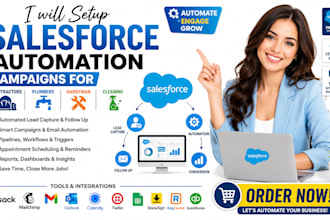 salesforce automation campaigns contractors plumbers handyman cleaning website