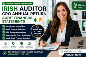 be irish auditor and file cro annual return, audit financial statements ireland