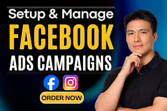 setup facebook ads campaign, manage meta ads fix ig fb ads marketing advertising
