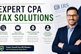 professionally review your irs notice, audit, or tax letter and draft a response