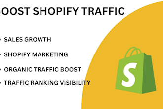 improve your shopify store traffic and google visibility