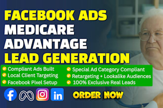 run meta facebook ads for medicare advantage lead generation
