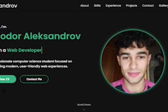 design, build or debug web applications and websites