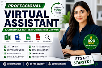 be your reliable virtual assistant for data entry and web research