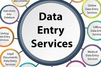 do data entry , copy paste , microsoft excel and word,
