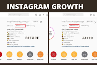 do instagram marketing and promotion for organic growth