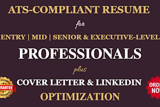 do professional resume and CV writing