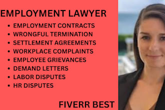 handle employee rights, termination cases, workplace complaints, and HR disputes
