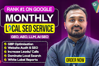 do website monthly local SEO service, GEO, aeo , llm, ai ,gmb for local business