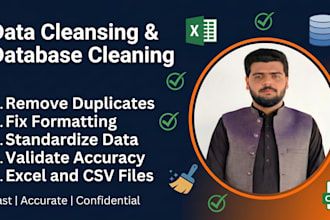 do data cleansing, data cleaning and database cleaning in excel