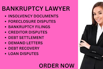 handle bankruptcy, debt settlement, creditor disputes, and insolvency matters