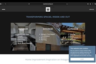 create or update a professional website