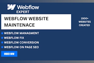 webflow managment, webflow fix, webflow conversion, webflow on page seo, webflow