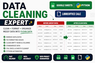 clean, format and organize messy data using google sheets and python