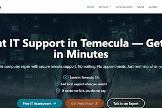 build and manage a professional business website